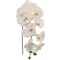 2-Pack: Real Touch Phalaenopsis Orchid Stem with 9 Flowers by Floral Home®